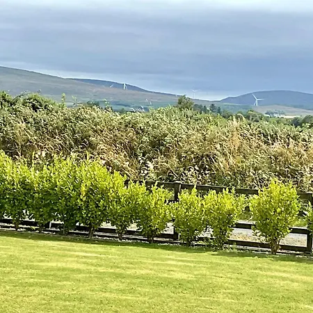 Hazeltree *