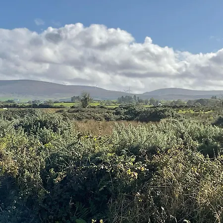Hazeltree Sligo