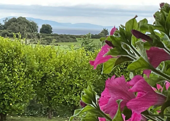 Hazeltree Frühstückspension Sligo